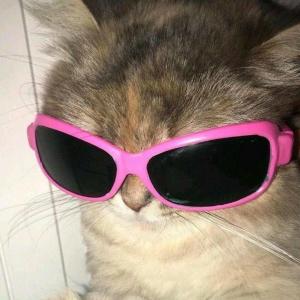 ArtemAY Avatar