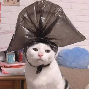 Dmitry_37RUS