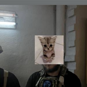Pivozavr