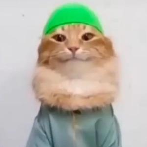 MAKEDON