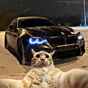 Пьяный
