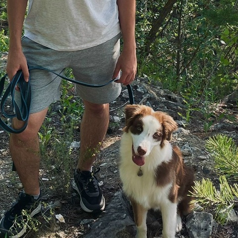 Иван Овсянников