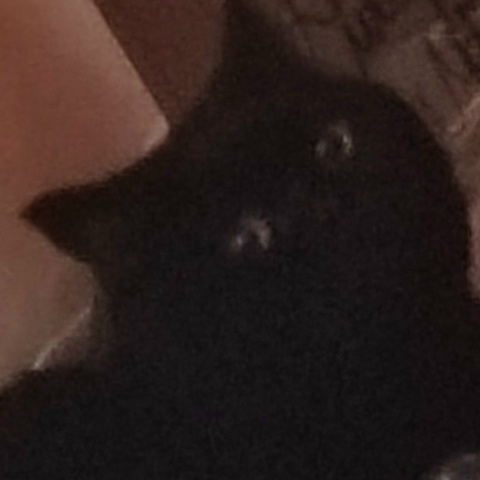 Стас Ремизов