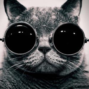 Клайндайка