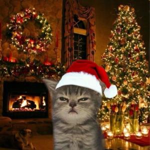 Евгения Старничук