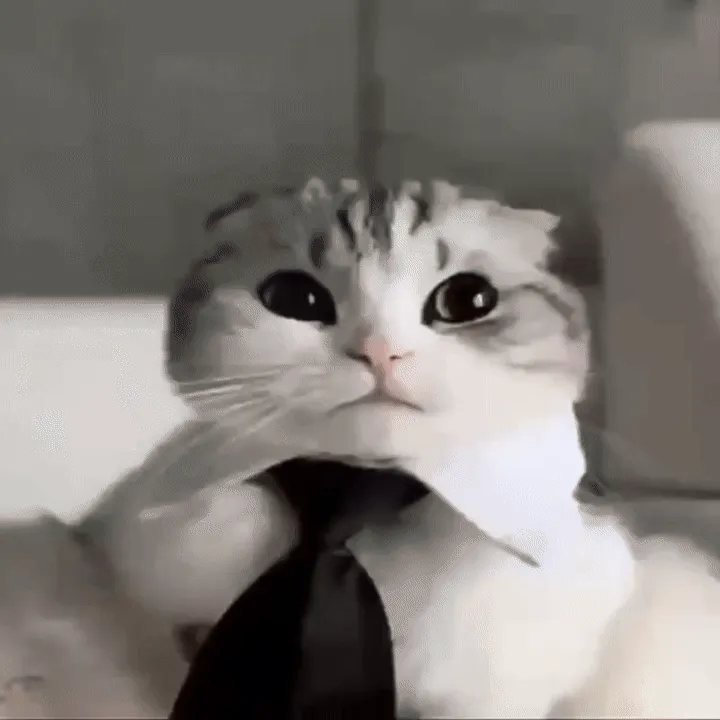 Даниил Корягин