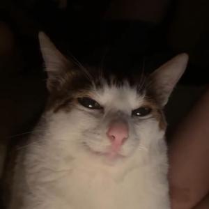 Евгения Старничук