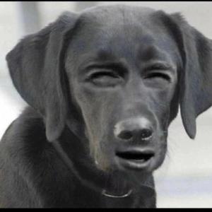 Екатерина Алексеевна