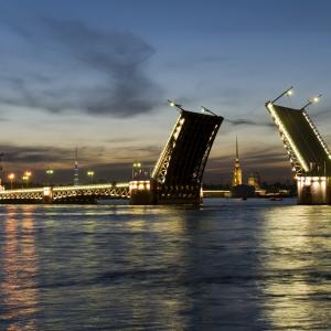 Дмитрий Николае