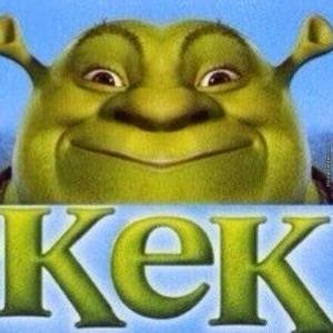 androncs