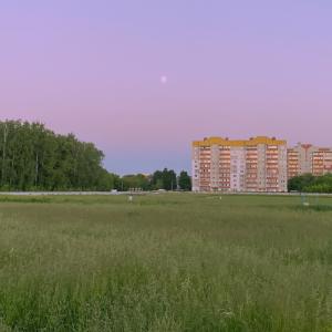bladasone