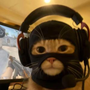 SpOnGe bob