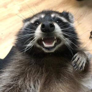 космос