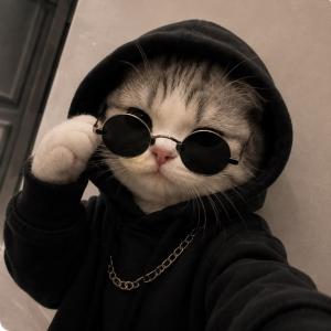 Sugar.cat