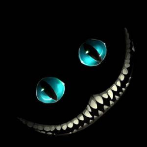 moZg