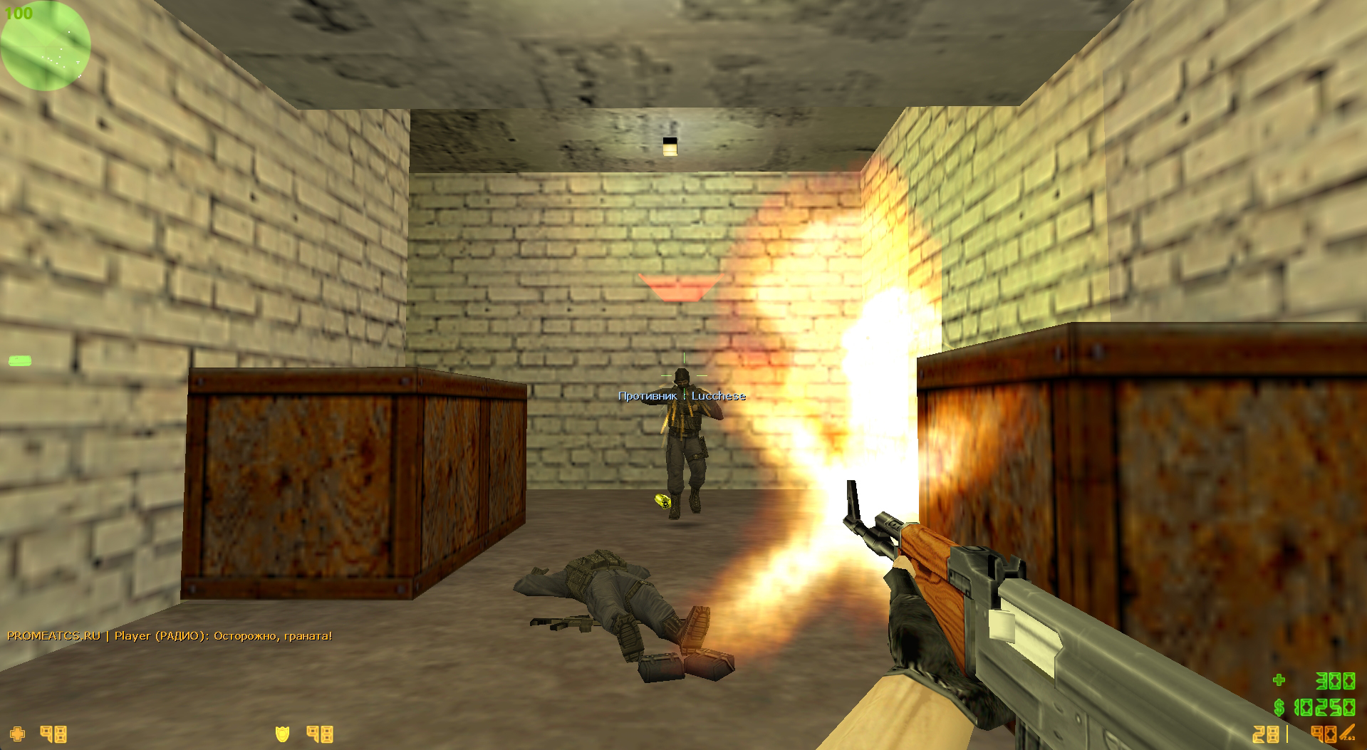 Старая версия CS 1.6 скрин 2